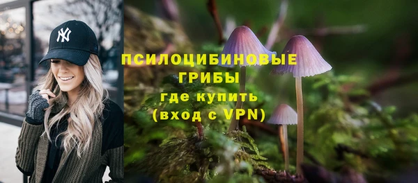 a pvp Белоозёрский