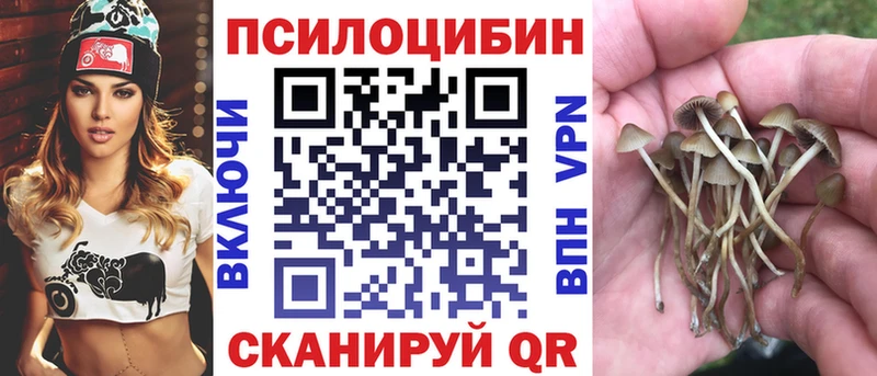 Галлюциногенные грибы прущие грибы  купить  сайты  mega ONION  Лыткарино 